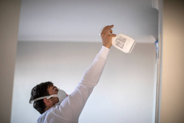 Best Home Mold Removal  in Oskaloosa, IA