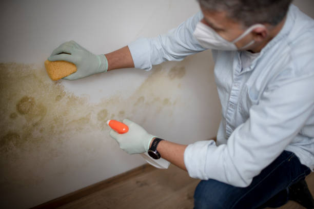 Best Crawl Space Mold Removal  in Oskaloosa, IA