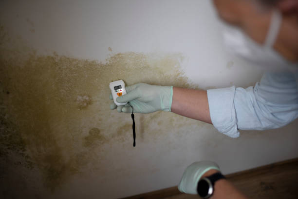 Best Commercial Mold Removal  in Oskaloosa, IA