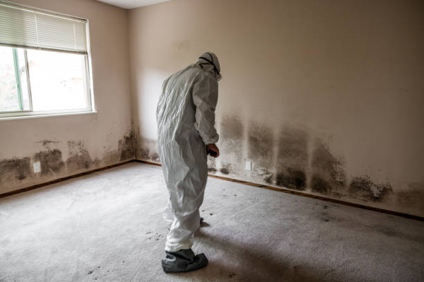 Best Mold Cleaning Services  in Oskaloosa, IA