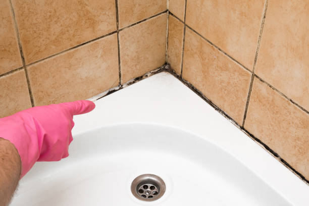 Best Mold Testing  in Oskaloosa, IA
